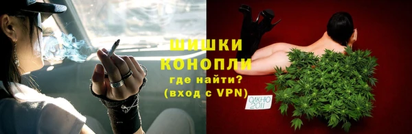 прущие грибы Карпинск