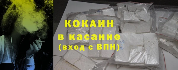 прущие грибы Карталы