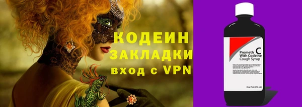 прущие грибы Карпинск