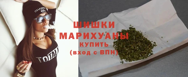 прущие грибы Карталы
