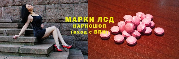 прущие грибы Карталы