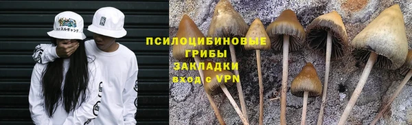 круглые Касимов
