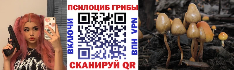 Купить закладки  Валуйки  Псилоцибиновые грибы мицелий 